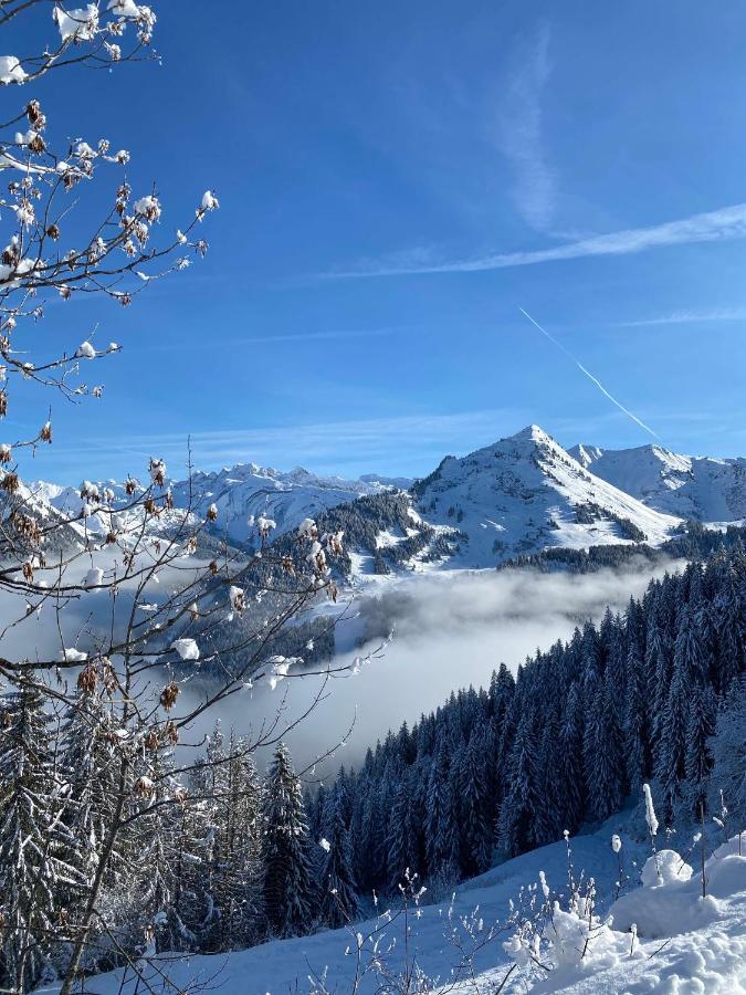 Hotel Rhodos Morzine 阿沃里亚兹 外观 照片